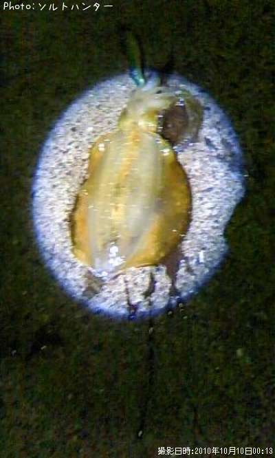 �����ꥤ��