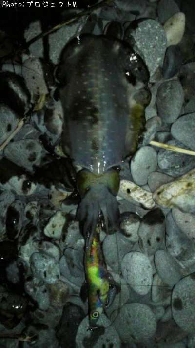 �����ꥤ��