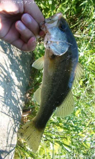 �֥�å��Х�