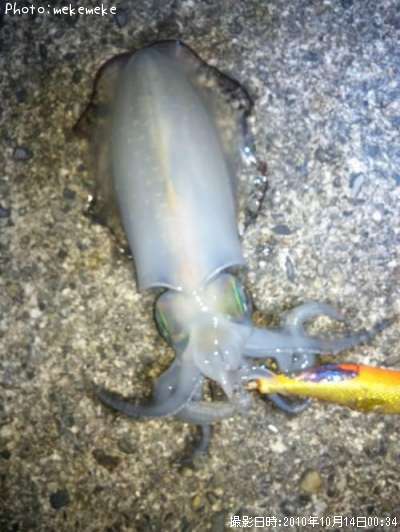 �����ꥤ��