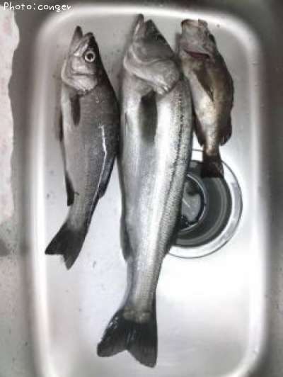 �����Х�