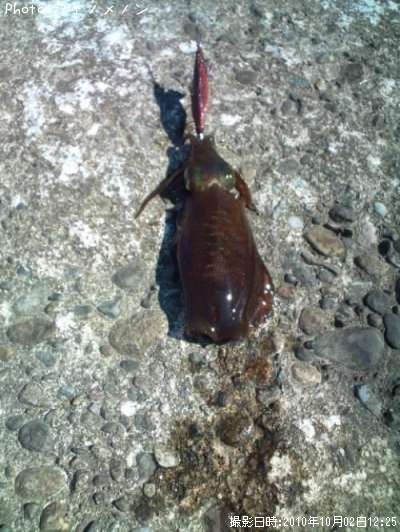 �����ꥤ��