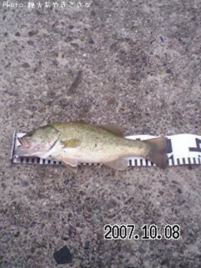 �֥�å��Х�