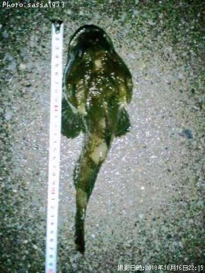 �ȥ��٥ĥ�����