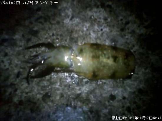 �����ꥤ��