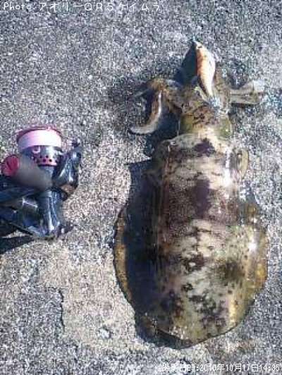 �����ꥤ��