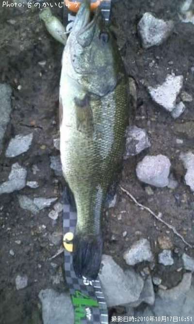 �֥�å��Х�