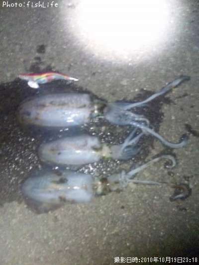 �����ꥤ��