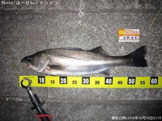 �����Х�