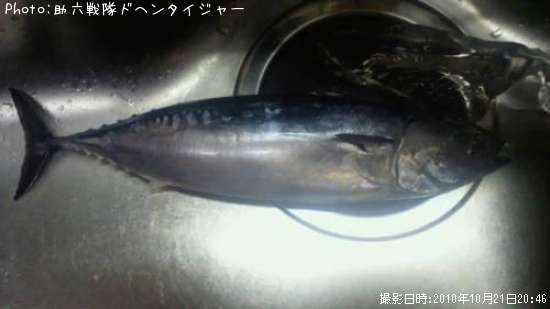 �ޥ륽����