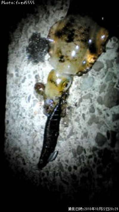 �����ꥤ��