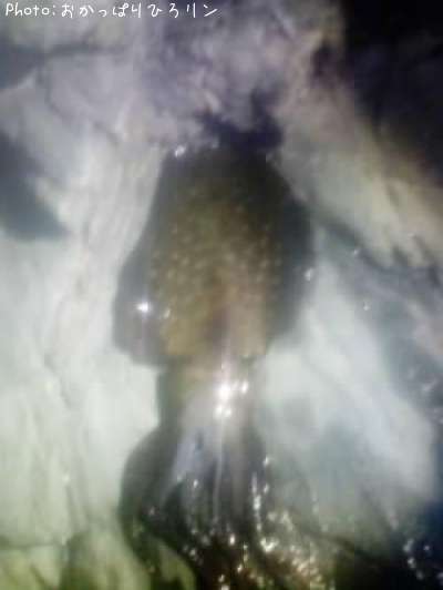 �����ꥤ��