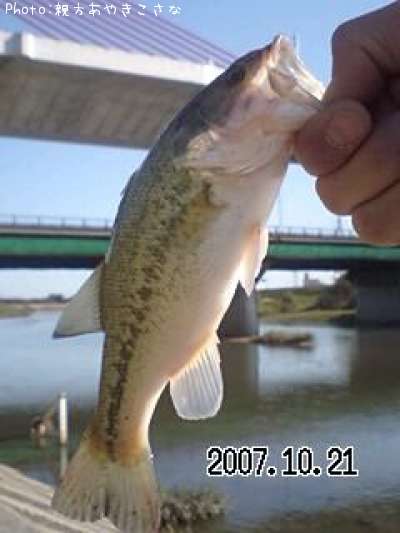 �֥�å��Х�