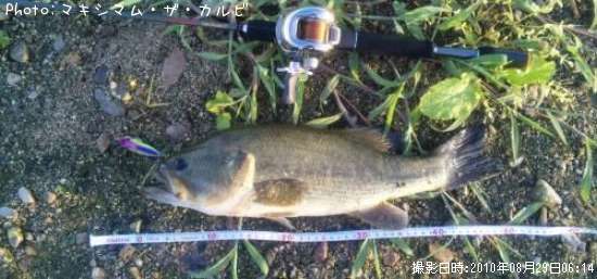 �֥�å��Х�