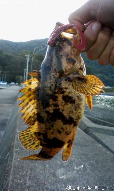 �٥å�������