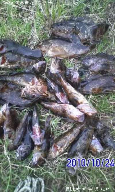 �����Υ���Х�¾