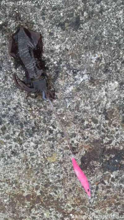 �����ꥤ��