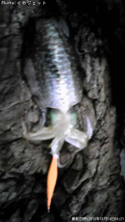 �����ꥤ��