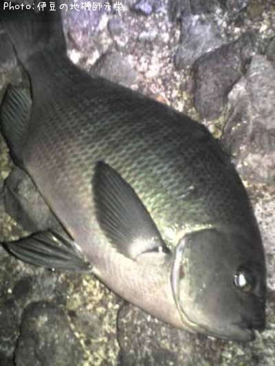 �����᥸��