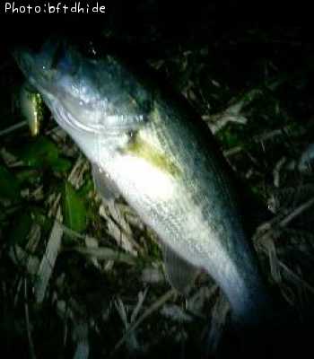 �֥�å��Х�