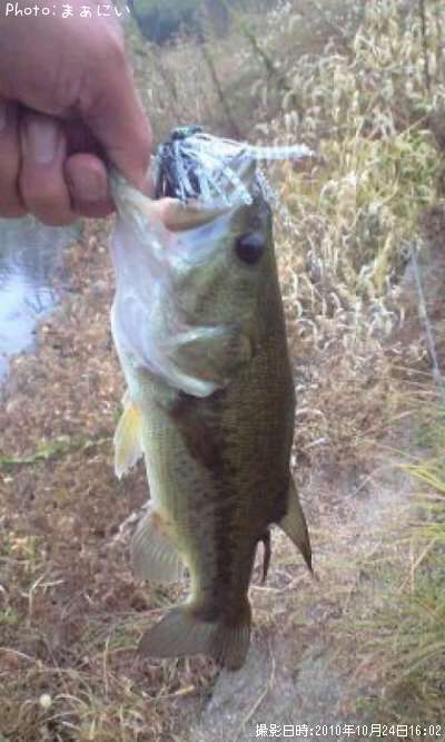 �֥�å��Х��顼��