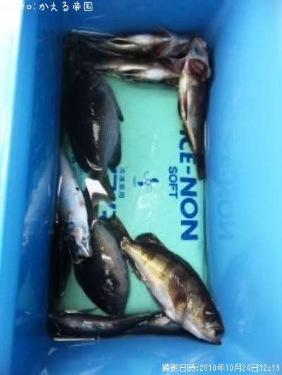 ������Х륰��