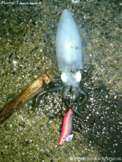 �����ꥤ��