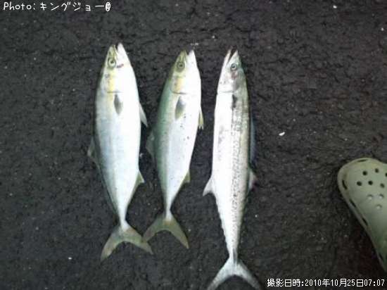 �䥺