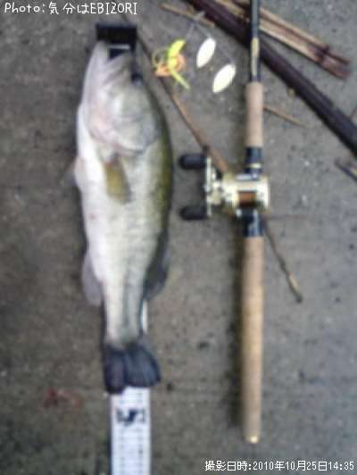 �֥�å��Х�