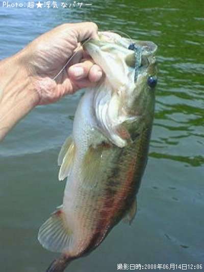 �֥�å��Х�