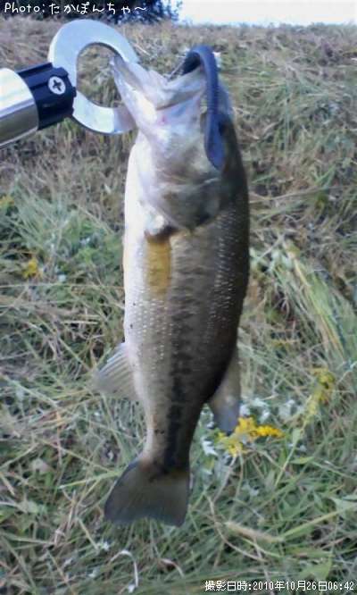 �֥�å��Х�