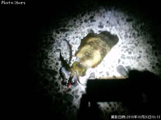 �����ꥤ��