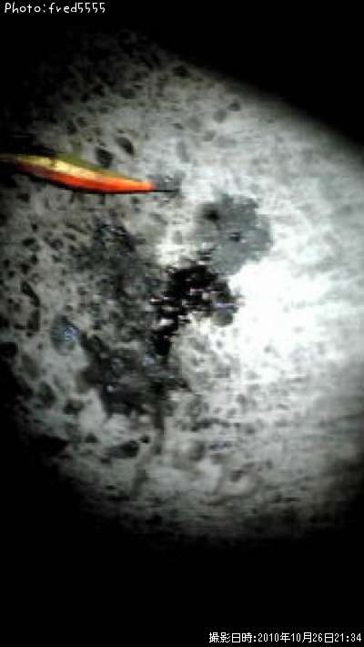 �����ꥤ��