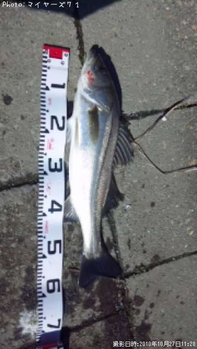 �����Х�