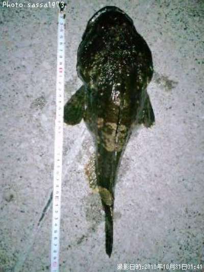 �ȥ��٥ĥ�����