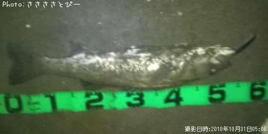 �����Х�