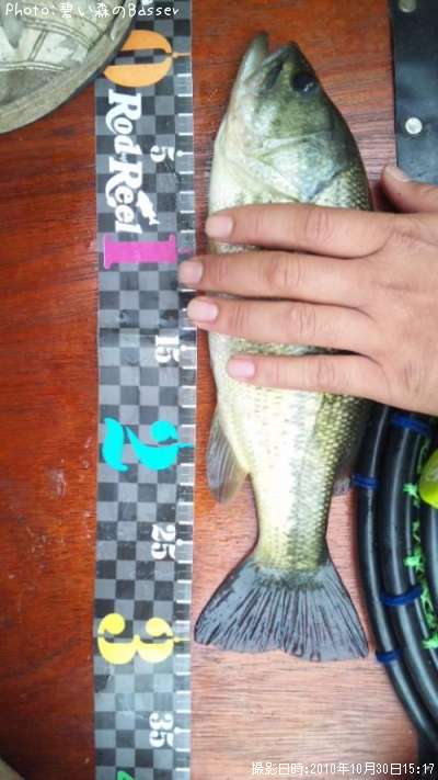 �֥�å��Х�