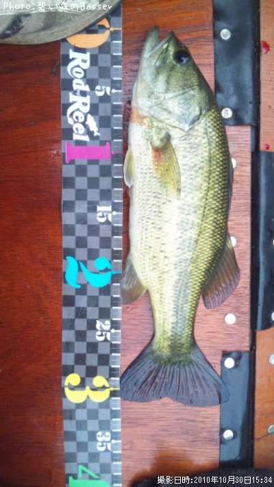 �֥�å��Х�