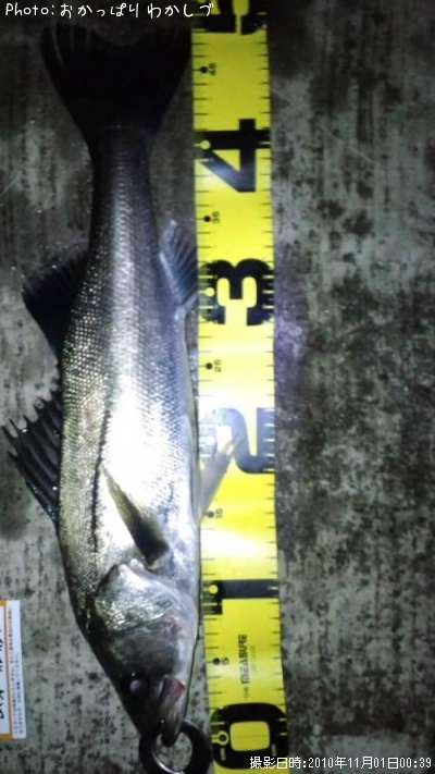 �����Х�