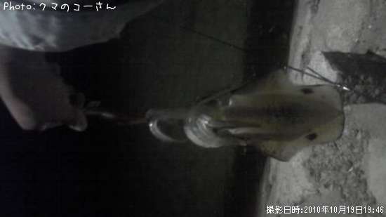 �����ꥤ��