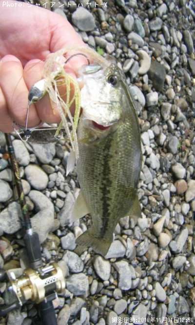 �֥�å��Х�