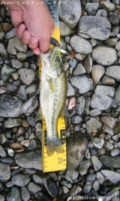 �֥�å��Х�