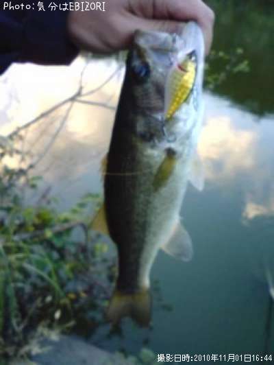 �֥�å��Х�