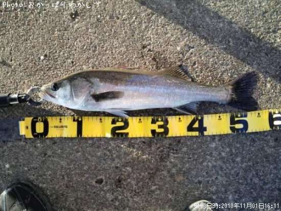 �����Х�