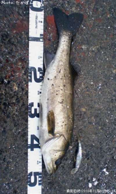 �����Х�