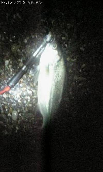 �ҥ饹����