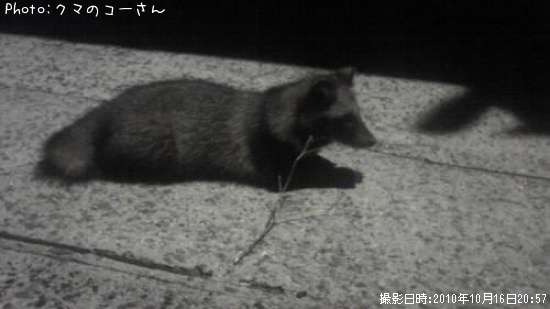 �����ꥤ��