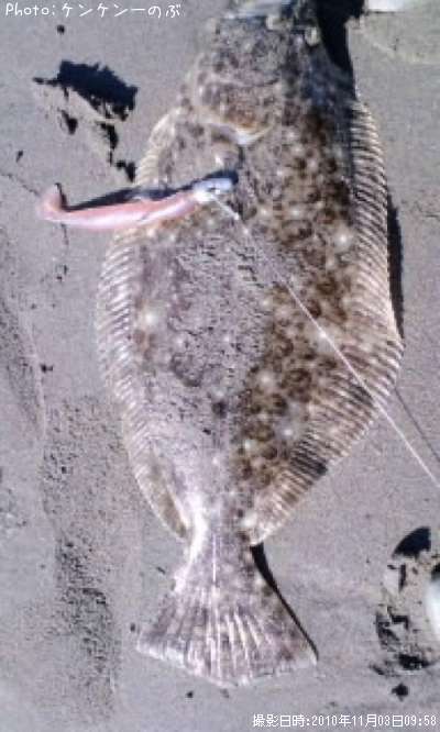 �ҥ��ʥ�����