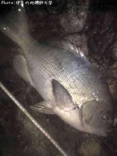 �����᥸��