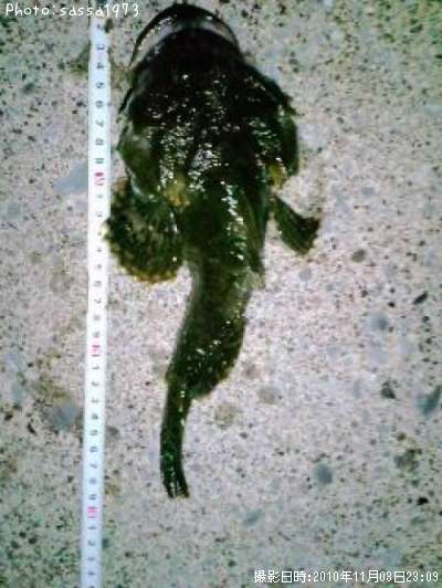 �ȥ�������